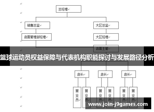 篮球运动员权益保障与代表机构职能探讨与发展路径分析