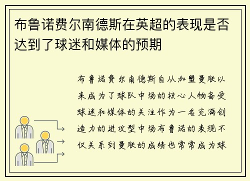 布鲁诺费尔南德斯在英超的表现是否达到了球迷和媒体的预期